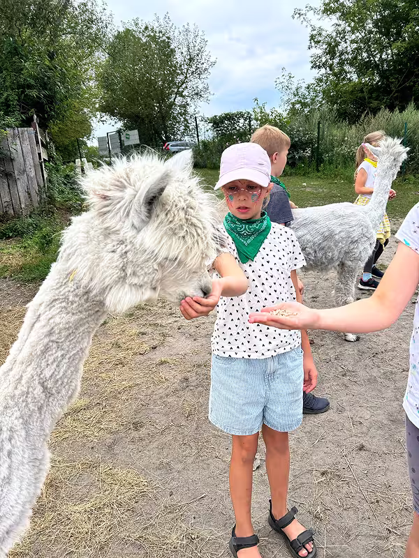 polkolonie-letnie-bialystok-studio-anima-31